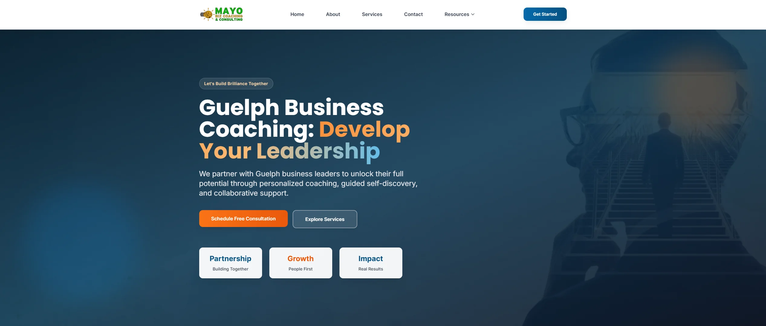Screenshot of Mayo Biz Coaching website