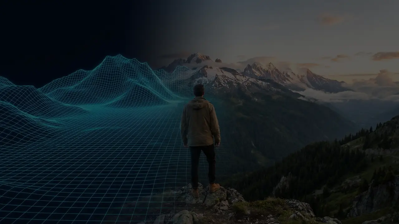 YLX custom website design showcase - professional web design services